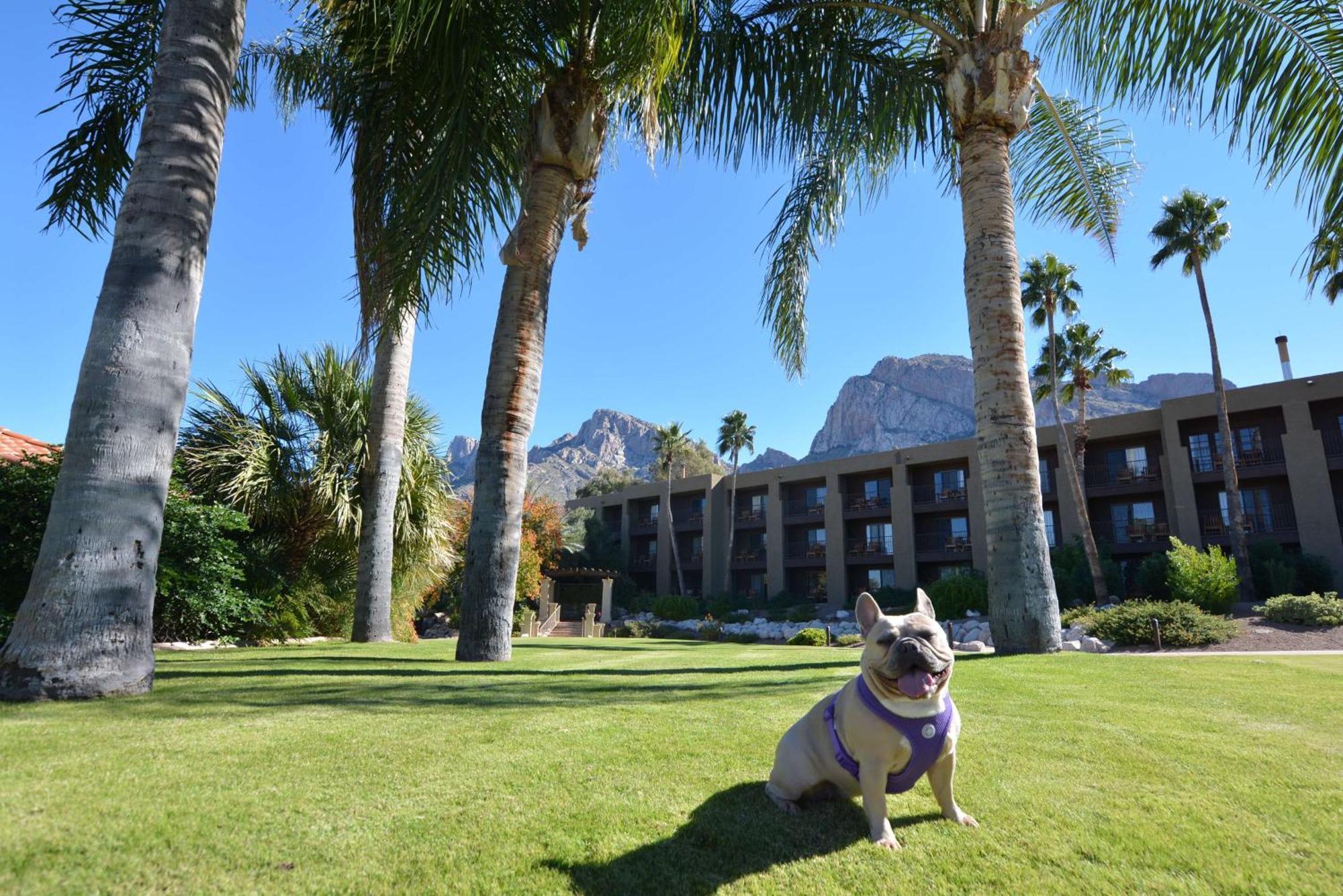 El Conquistador Tucson, A Hilton Resort Oro Valley Exteriér fotografie